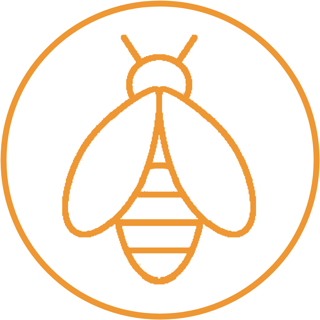 Ecosystem