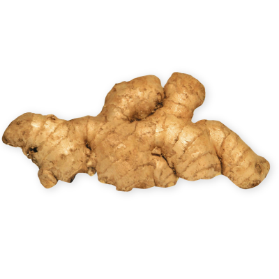 Ginger